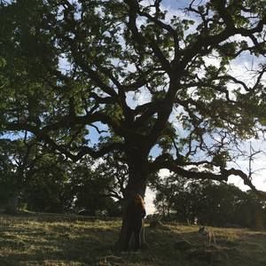 Meet your Posher, Deysi